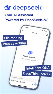 DeepSeek google版截图0