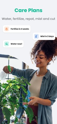 plantin�������°�2026��ͼ3