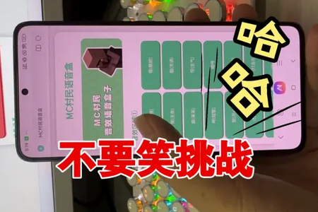 MC村民语音盒子 MC村民语音盒子