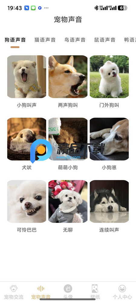 猫狗动物交流助手解锁会员版 猫狗动物交流助手解锁会员版