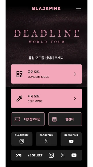 BLACKPINK LIGHT STICK SE APP粉锤 BLACKPINK LIGHT STICK SE APP粉锤