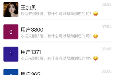 枝聊IM官方版 枝聊IM官方版