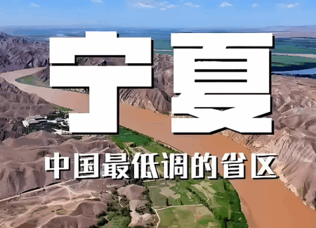 宁夏日报客户端 宁夏日报客户端