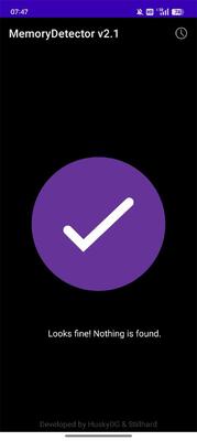 �Ŵ󾵼������(MemoryDetector)��ͼ2