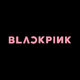 BLACKPINK LIGHT STICK SE APP�۴�v1.0.3 ��׿��