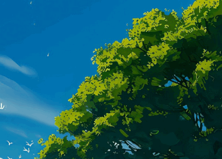 鱼小蔓画质助手 鱼小蔓画质助手