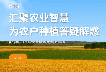 农千问app最新版 农千问app最新版