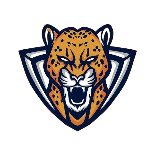 野豹启动器免费版