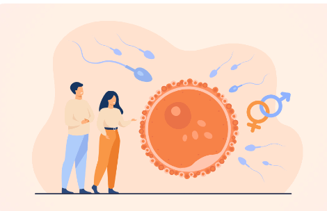 排卵计算器软件 排卵计算器软件