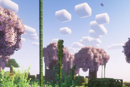 �ҵ�����Steve����