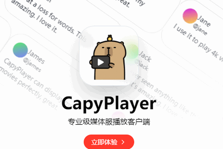��Ƥ����������(CapyPlayer)
