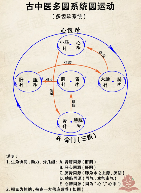 �ھ�����app�ٷ���