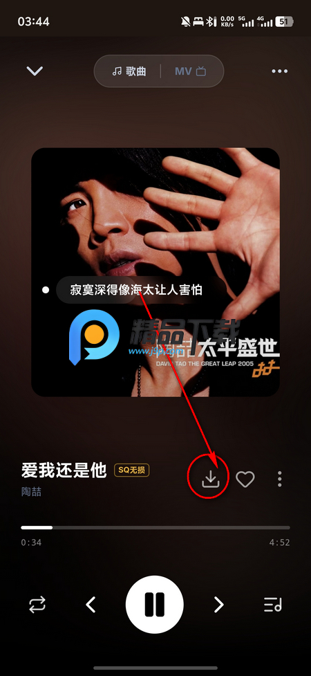 ɽè����app(LynxMusic)