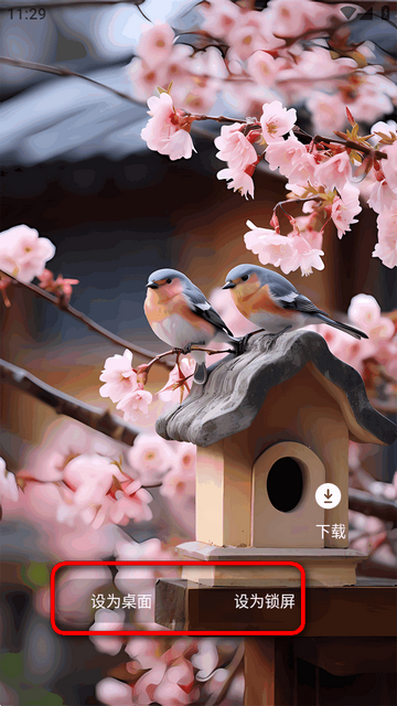 91��è������������