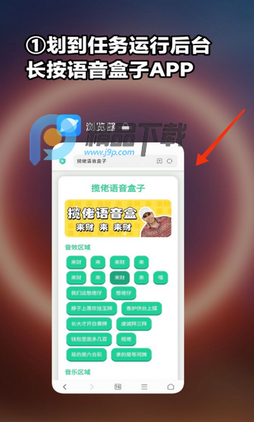 ʥ����������app