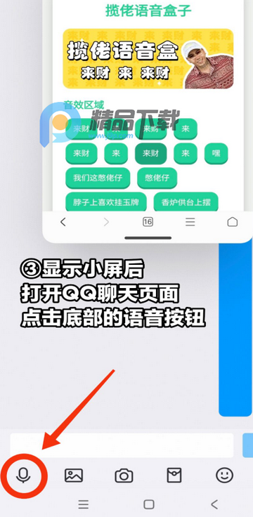 ʥ����������app