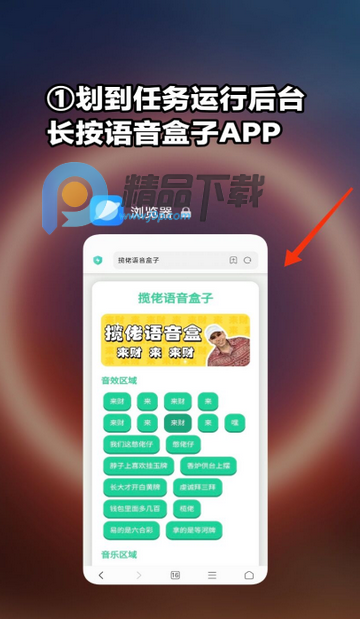 ʥ����������app