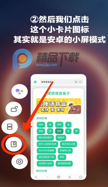 ʥ����������app