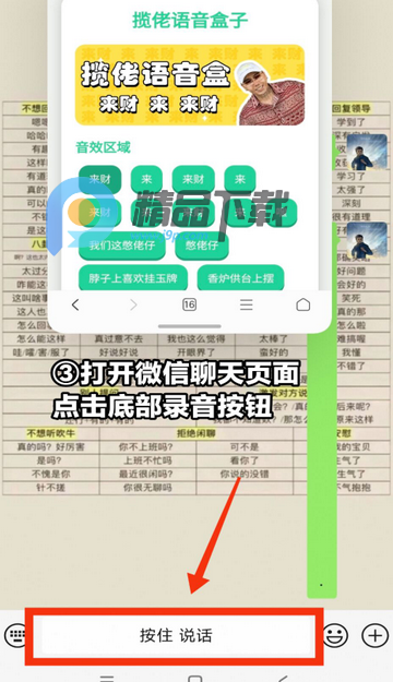 ʥ����������app