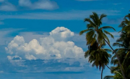 ����������鹥������