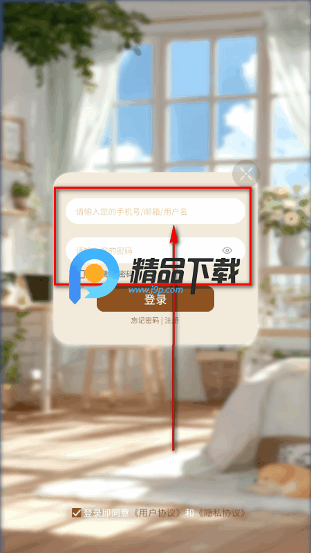 �ڰ�������