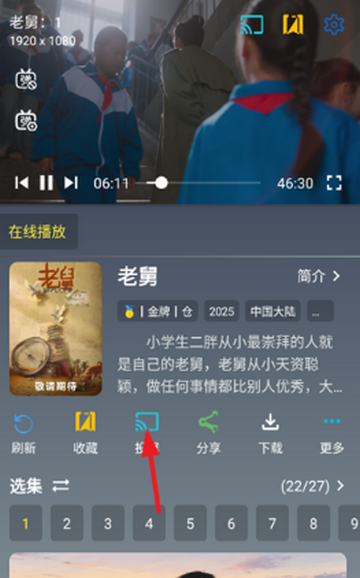 ħ��Ӱ��������װ