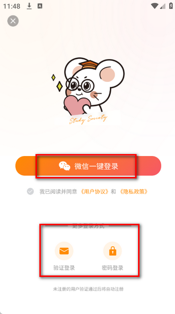 ���ӿ�������