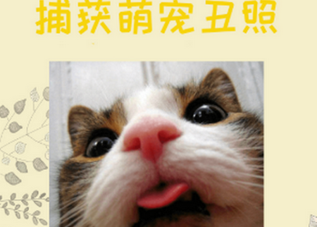 è�﷭����