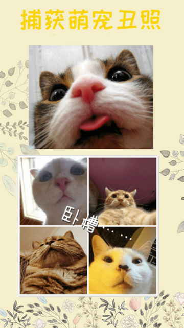 è�﷭����