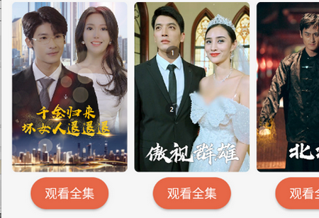 ������Ƶ������װ