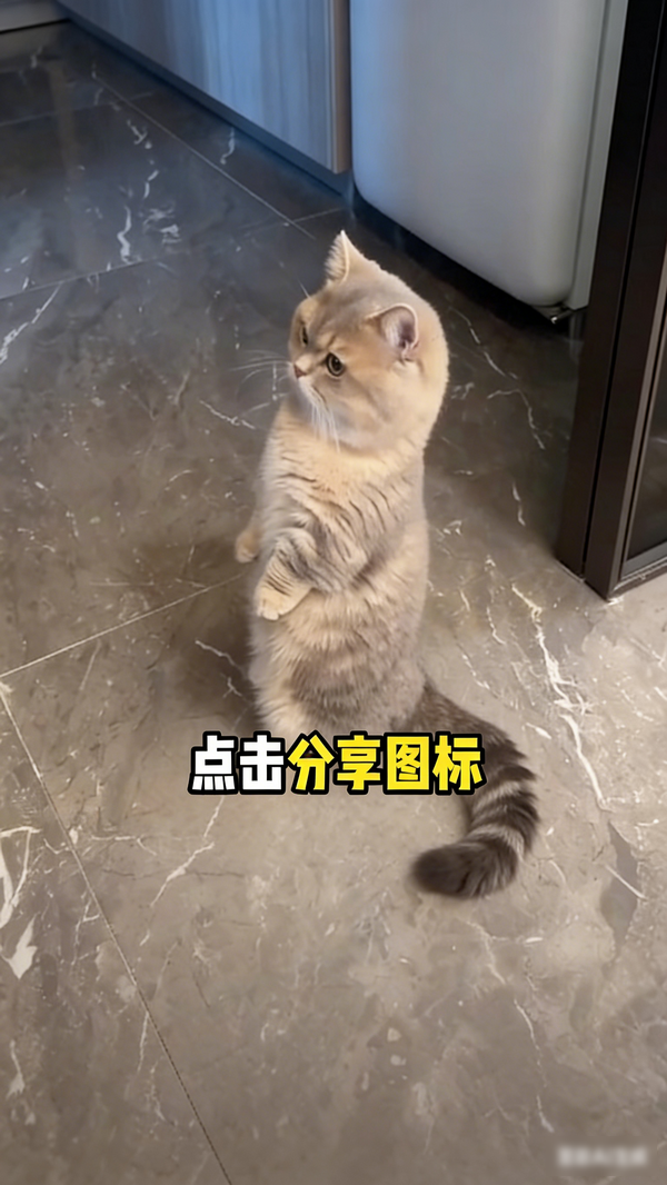 快存图最新版 快存图最新版