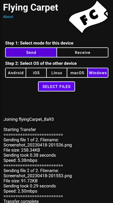 �����������Flying Carpet���°��ͼ1