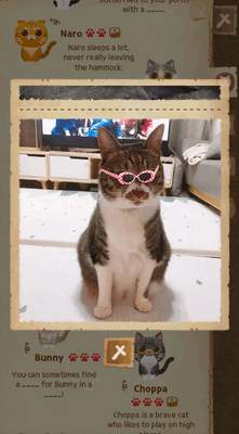 è�������ɭ��(Secret Cat Forest)��ͼ0