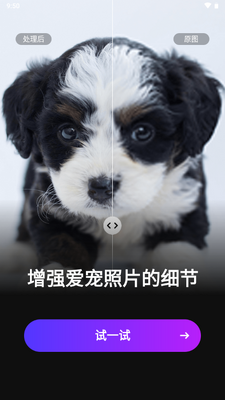 AI�˾���ͼ����(PicMa)��ͼ1