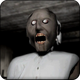 �ֲ���������ģ��(Granny: Legacy)v1.0 ���ư�