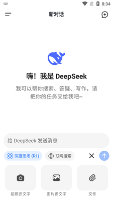 DeepSeek��Ѫ�����°��ͼ0