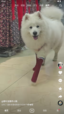 ������Ϊ��ҫ���ư��ͼ2