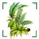 ʶ����ɨһɨapp�ֻ���v1.11 ��׿��