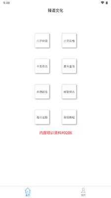 臻道文化八字排盘软件截图3