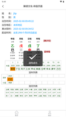 臻道文化八字排盘软件截图2