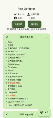 Risk Detector检测截图3