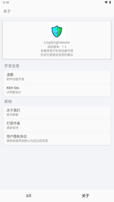 LingQingDetector检测截图1