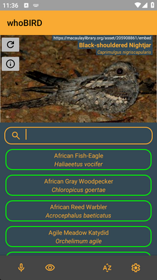 ����ʶ����(whoBIRD)��ͼ0