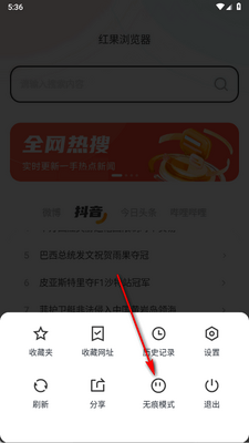 红果浏览器截图1