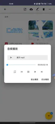 Cdifit云盘app官方版截图3