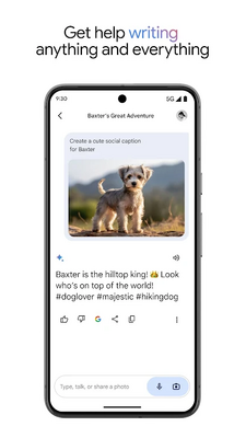 google Gemini���߽�ͼ4