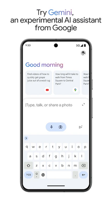 google Gemini���߽�ͼ1