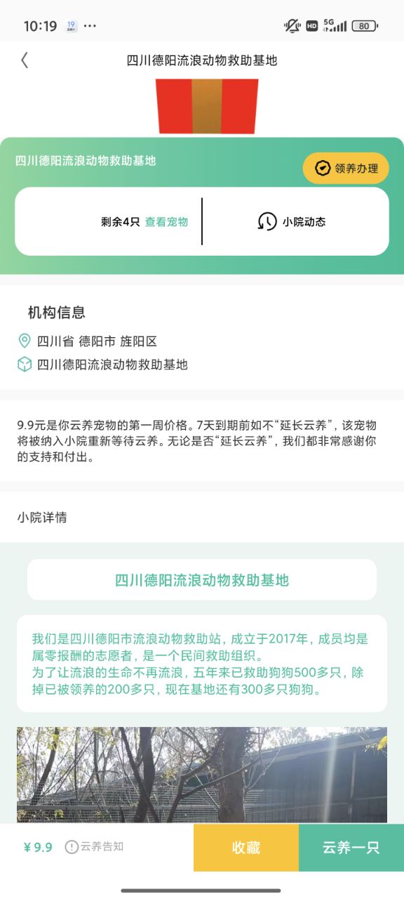 צapp