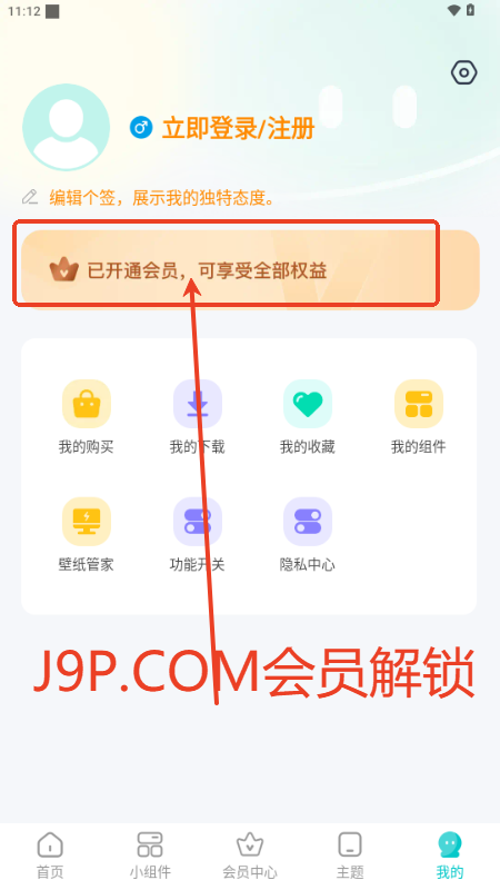}ڼȫappiVIP
