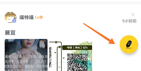 չAPP